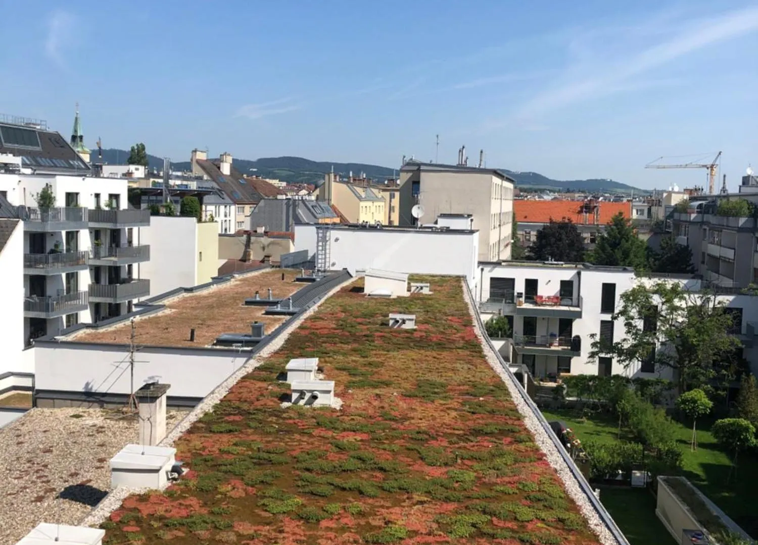 Vienna Sunny Side Up Apartments